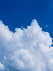 D - 5, 밴드부가 폐지된다.