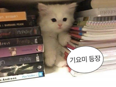 오랜만이에용😚🩷