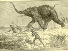 '사냥꾼 남자'의 신화를 깨는 전 세계 조사 결과