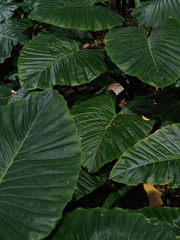 뉴디콘 관련 글들