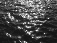 내가 사라지거든 바다에서 날 찾아주세요.