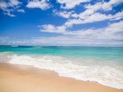 여름에 닿으려면 봄이 사라져야지.