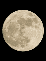 FF14 캐릭터 설정