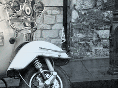 모든 타는 것은 연료가 되듯이