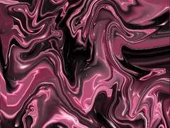 칼리드 쿼츠 4학년