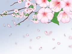 벚꽃 웹툰 소재 작업 뒷이야기