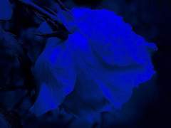 어떻게든 지키기 위해