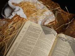 시즈 샤론_후플푸프_혼혈