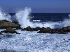 바다와 은하수가 펼쳐진 심해의 희극