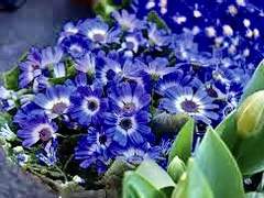 [루카x트레](feat.은둔자)훌륭한 대체재.