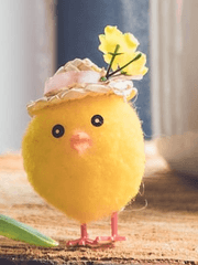 [i 필터를 설치하시겠습니까?] 범유진