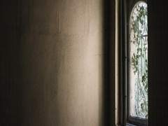 세련됨은 어리석은 자들이 날조한 것