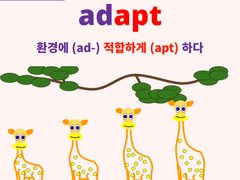 adaptability (adapt, adaptable)