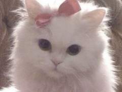 엔시티 홍일점 막내 여주 생활기 002