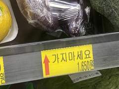 물고기는 물에서 숨을 쉬잖아요