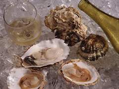 나는 '굴'의 오랜 안티다