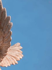 [2023] 한여름, 벚나무 아래 묻어놓은 단 하나의 약속