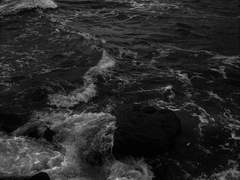 검은 바다를 담은 잔에는