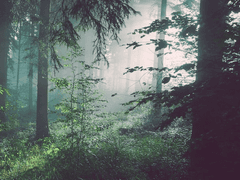 환상여행기 SP 1.