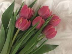 너의 아름다운 노랫소리