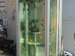 해수면 저장 용량