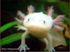 무인도에서 살아남으려면 23애니 중 누구와 가야할까? 上