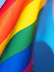 트랜지션(호르몬)