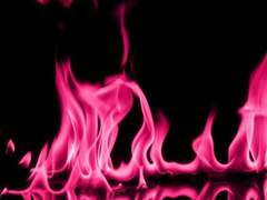 Faber est suae quisque fortunae.