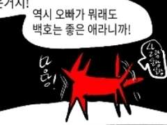 [백호소연 ] 개