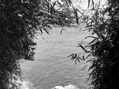 [신비아파트] 환영술사의 환술은 무엇을 보여줄까 1