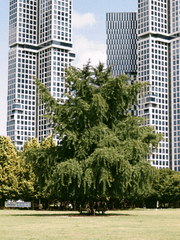 <연재중> 사계절호