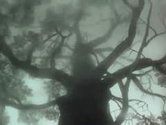 태초에 그들이 있었다 02