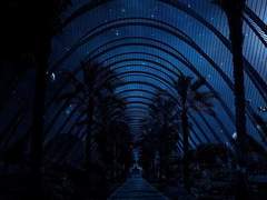 [드레헤르] 그렇게 시작한 호그와트 비밀연애 02