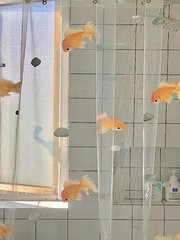 얼렁뚱땅 동거일지