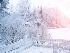 라일라 윈티트 ▪︎ 그리핀도르 ▪︎ 혼혈