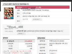 세븐틴 콘서트 (1)