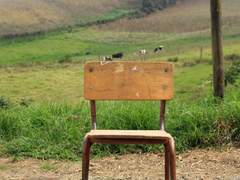 💬 ES_P와 IN_J가 보는 세상 (ft. IS_J, EN_P)