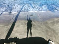 오클랜드의 해변에서