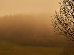 [데못죽] 마지막 노랫소리