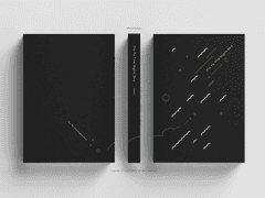 158_Fly To The Night Sky