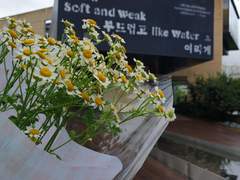 파빌리온, 비엔날레 여름이 저물어간다.