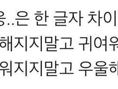 [우성명헌] 농구공 기억살인사건3