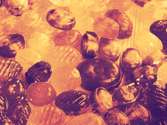 [ 테레시아 마르티레스 / 공작 / 폴룩스 / 13세 ]