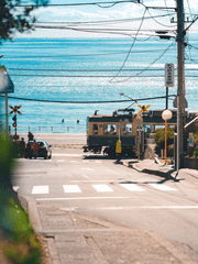 불의 노래 [명헌태섭]