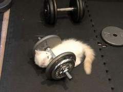 내가 하는 홈트 모음