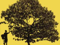 샛노랑과 새빨강 사이