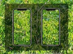 [배경화면] 싱그러움을 품은 여름