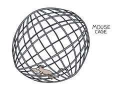 어스웜 짐 시리즈의 Mouse Cage