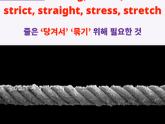 string, strain, straight, stress, stretch, strict