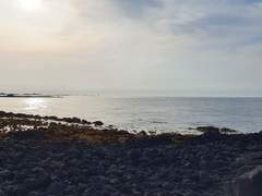 [이제노] 하도리 동동 완결+외전1